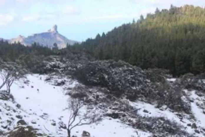 Multitud de grancanarios suben a Tejeda para ver la nieve caída en la cumbre