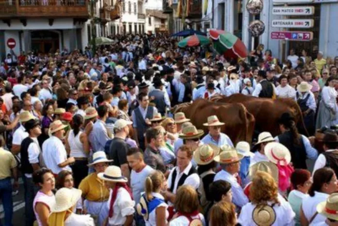 Las Fiestas del Pino 2011 en Teror (Gran Canaria) aumenta los efectivos de seguridad a un total de 600 agentes