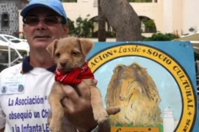La fundación Lassie dará en adopción a Maná un cachorrito de nombre Panchito
