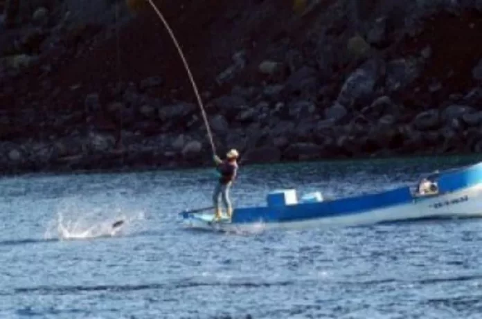 Los pescadores de El Hierro califican de catástrofe natural lo ocurrido en el litoral a raíz del proceso eruptivo