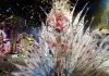 Laura Medina, reina del carnaval de Las Palmas de Gran Canaria 2012 (Cómic) Laura Medina, reina del carnaval de Las Palmas de Gran Canaria 2012 (Cómic)