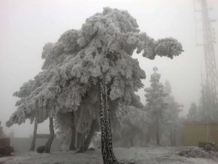 La nieve vuelve a caer en la Cumbre de Gran Canaria