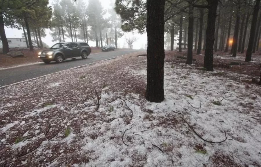 Foto: patilaperragorda.wordpress.com/