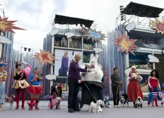 Bambi (perro chihuahua) ganador del Carnaval Canino 2012 de Las Palmas de Gran Canaria Bambi (perro chihuahua) ganador del Carnaval Canino 2012 de Las Palmas de Gran Canaria