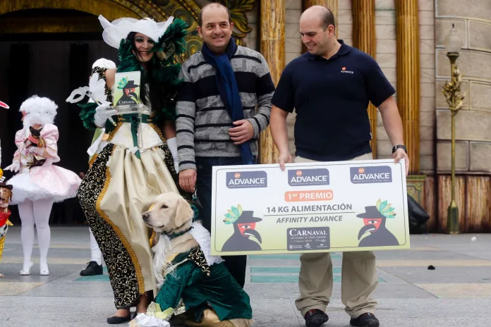 Concurso de disfraces canino 2013 del Carnaval de Las Palmas de Gran Canaria