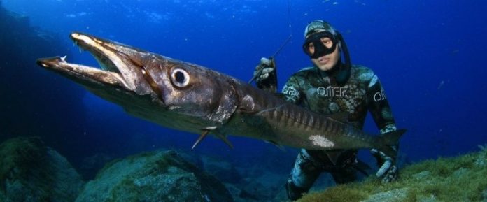 Rayco García Campeón de España´11 y Subcampeón´12 de pesca submarina