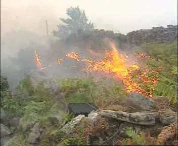 Prohíben todo tipo de fuegos en áreas forestales de Gran Canaria