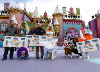 El podenco Ashé ganador del Carnaval Canino 2014 El podenco Ashé ganador del Carnaval Canino 2014
