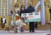 Ashé, gana el Concurso del Carnaval Canino 2016 de Las Palmas
