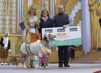 Ashé, gana el Concurso del Carnaval Canino 2016 de Las Palmas Ashé, gana el Concurso del Carnaval Canino 2016 de Las Palmas